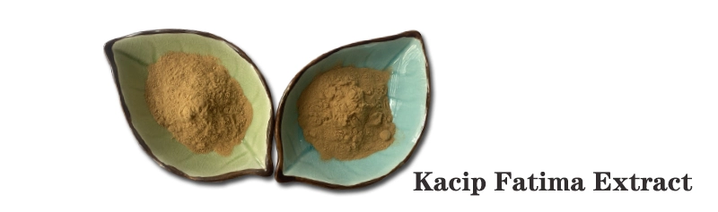 Kacip Fatima Extract.jpg